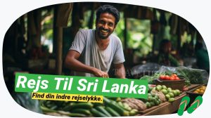 Sri Lanka afsløret: Tips & inspiration for rejsende
