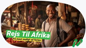 Afrika udforsket: Den ultimative guide med tips, inspiration & hemmeligheder