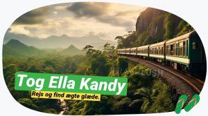Ella til Kandy: En betagende togtur gennem Sri Lankas hjerte