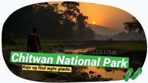 Chitwan National Park: Safari & næsehorns eventyr i Nepal