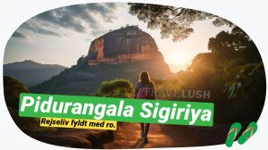 Pidurangala vs. Sigiriya: Hvilket bjerg bør du bestige?