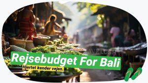 Bali på budget: Få mest muligt ud af din indonesiske rejse