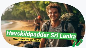 Etisk turisme i Sri Lanka: Havskildpadder & miljøudfordringer