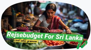 Sri Lanka rejsebudget: Sådan forbereder du dig!