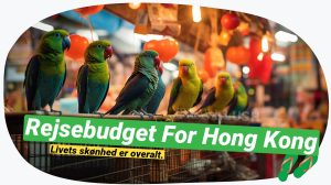 Hong Kong på budget: Planlæg din storbyferie!