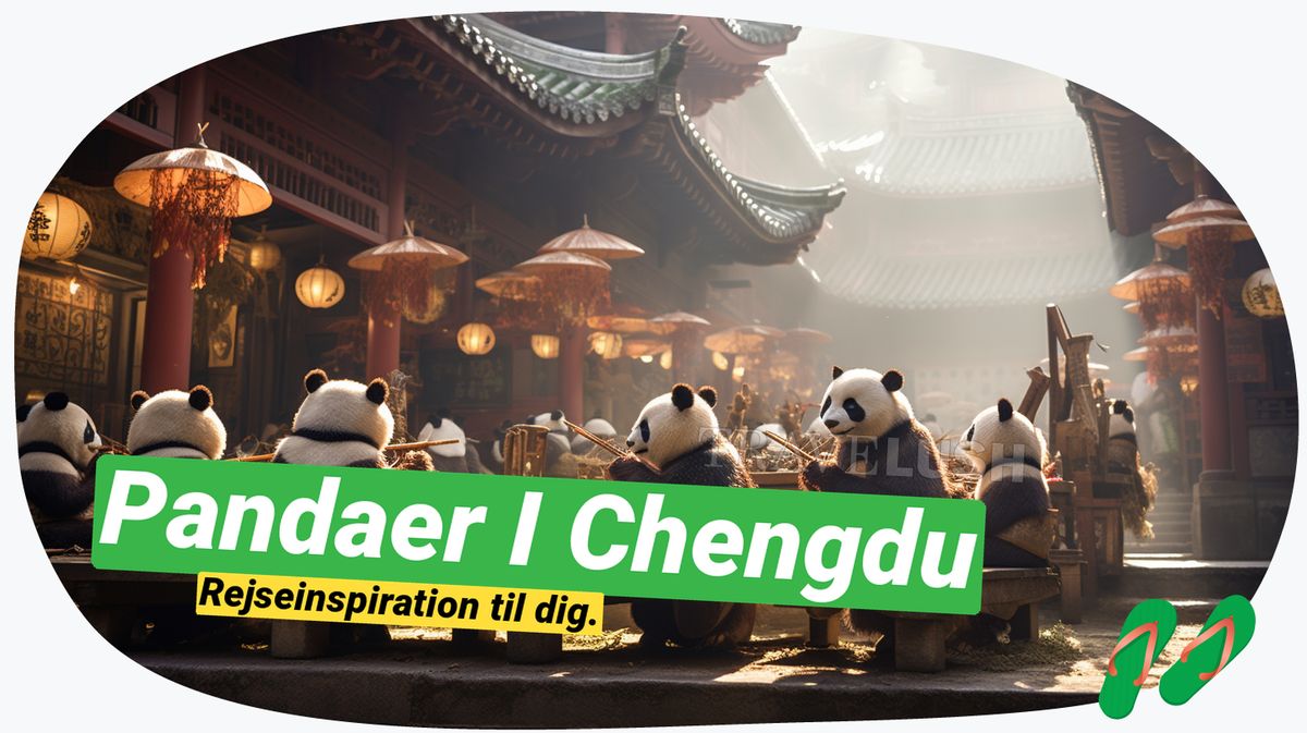 Chengdu's charme: Tilbring en dag med pandaer!