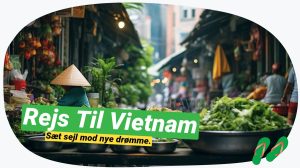 Vietnam solo: Oplevelser, tips og historier fra landet