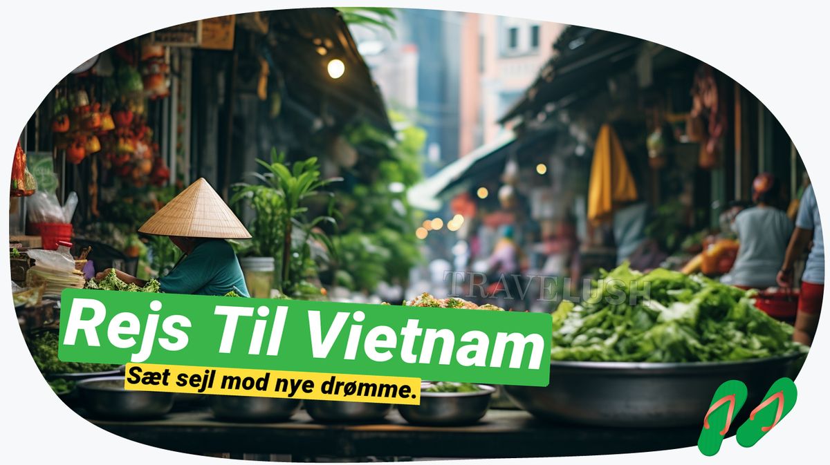 Vietnam solo: Oplevelser, tips og historier fra landet