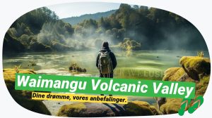 Waimangu's termale kilder: New Zealands varme skønhed!