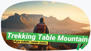 Table Mountain Trek: Uventede overraskelser venter!