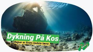 Dyk dybt i Kos: Oplev makroverdenen under vandet!