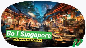 Singapore overnatning: Bedste steder & tips for