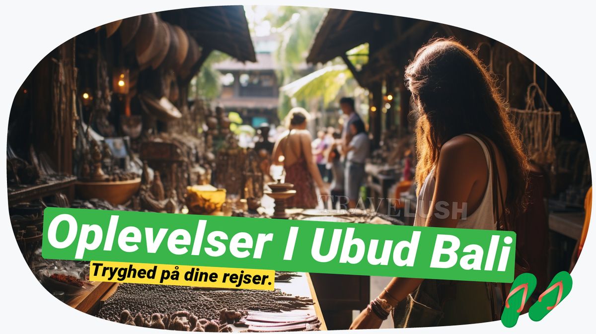 Ubud, Bali afsløret: Top oplevelser du ikke vil gå glip af