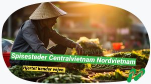 Vietnam spiseguide: Bedste steder i Central- og Nordvietnam!