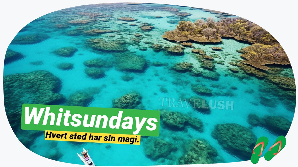 Whitsundays: Dag i paradis blandt krystalklare strande