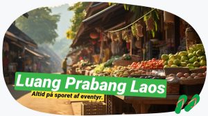 Luang Prabang: Top oplevelser & skjulte skatte