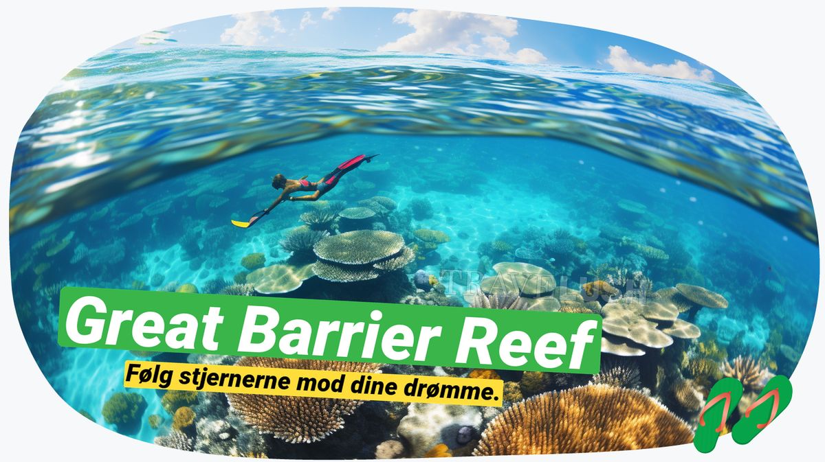 Great Barrier Reef: Dyk & snorkel nær Townsville