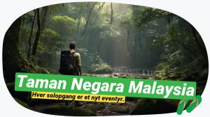 Taman Negara: Verdens ældste regnskov venter på dig