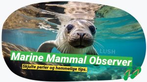 Marine Mammal Observer: Dit kig bag kulisserne med Travelush