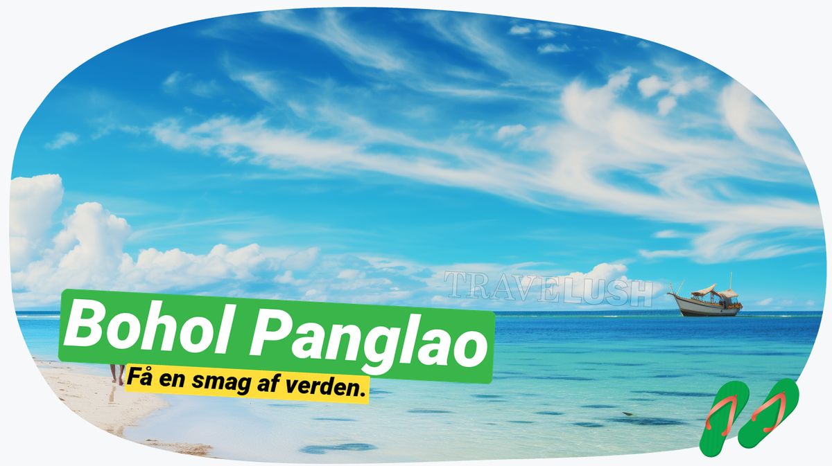 Bohol & Panglao udforsket: Fra seværdigheder til hemmelig overnatning!