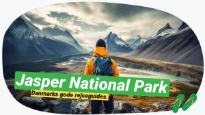 Jasper National Park: Mød Canadas vilde dyr i deres habitat